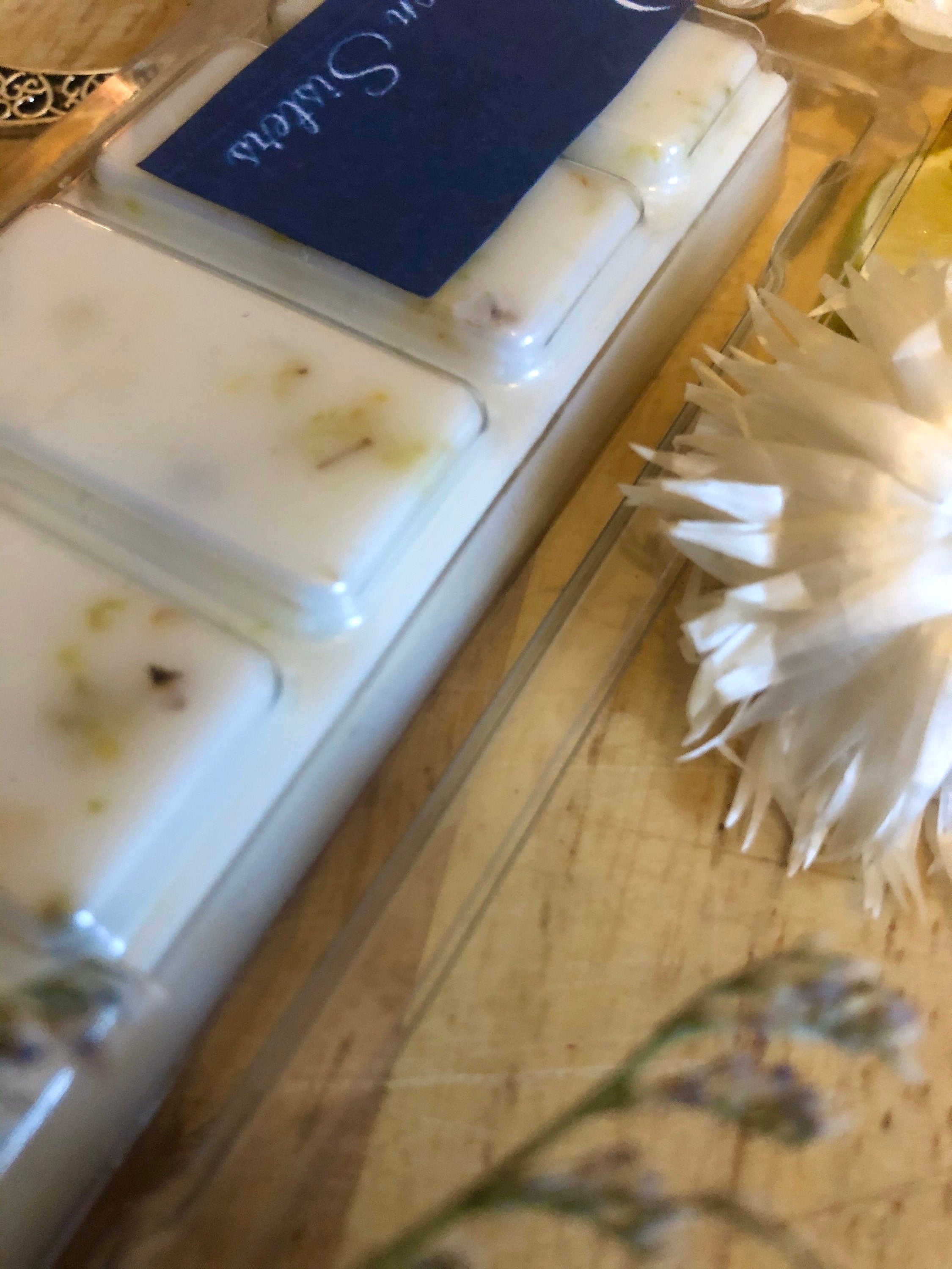Botanical Wax Melts | Midnight Margarita | Lime, Lemon & Coconut