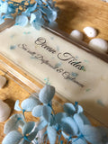 Botanical Wax Melts | Ocean Tides | Sea salt, Driftwood & Cyclamen
