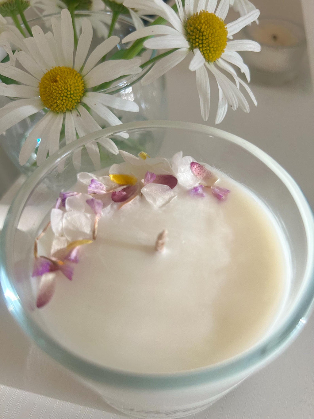 Wildflower | Wild Violet & Daisy
