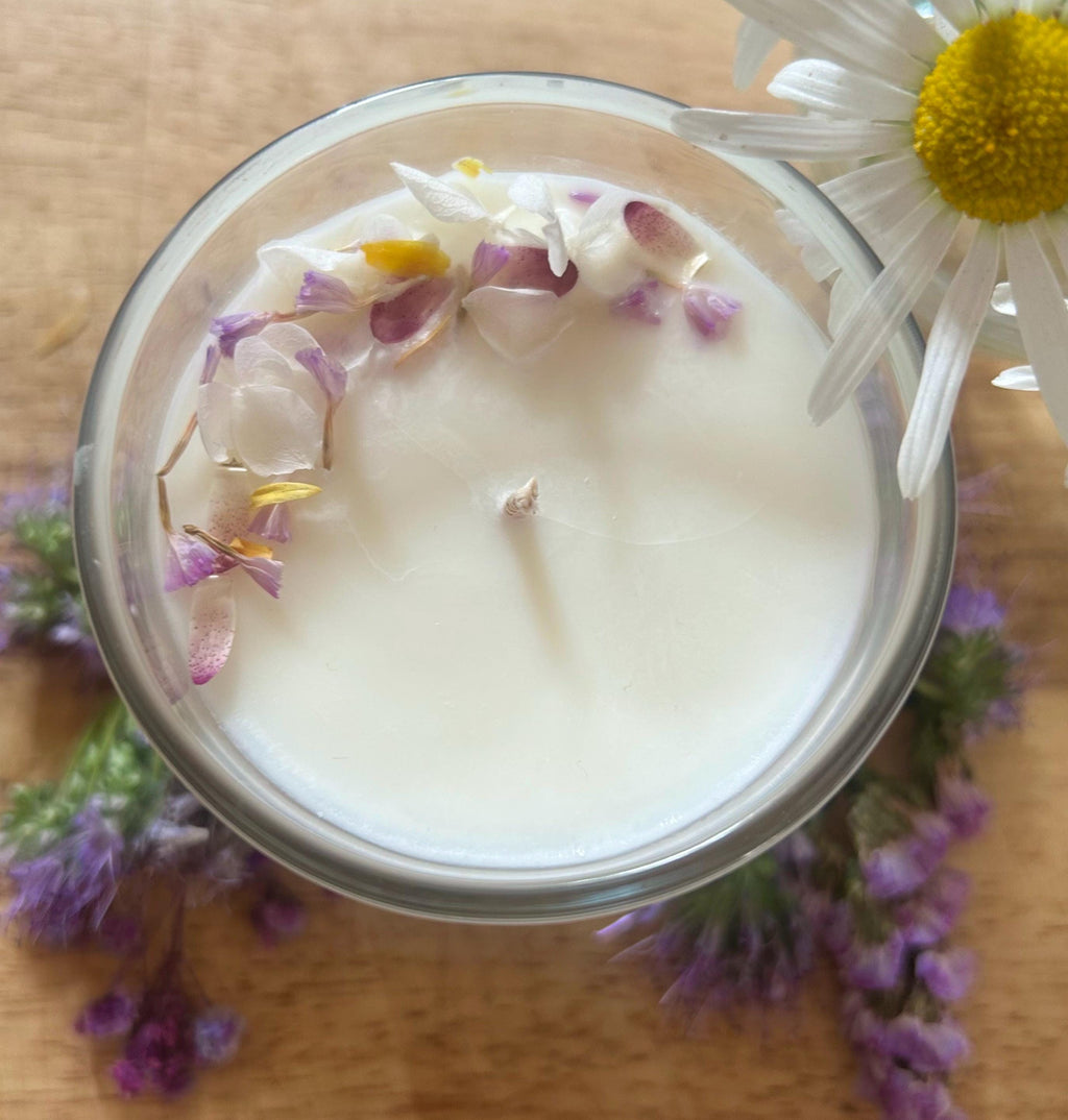 Wildflower | Wild Violet & Daisy