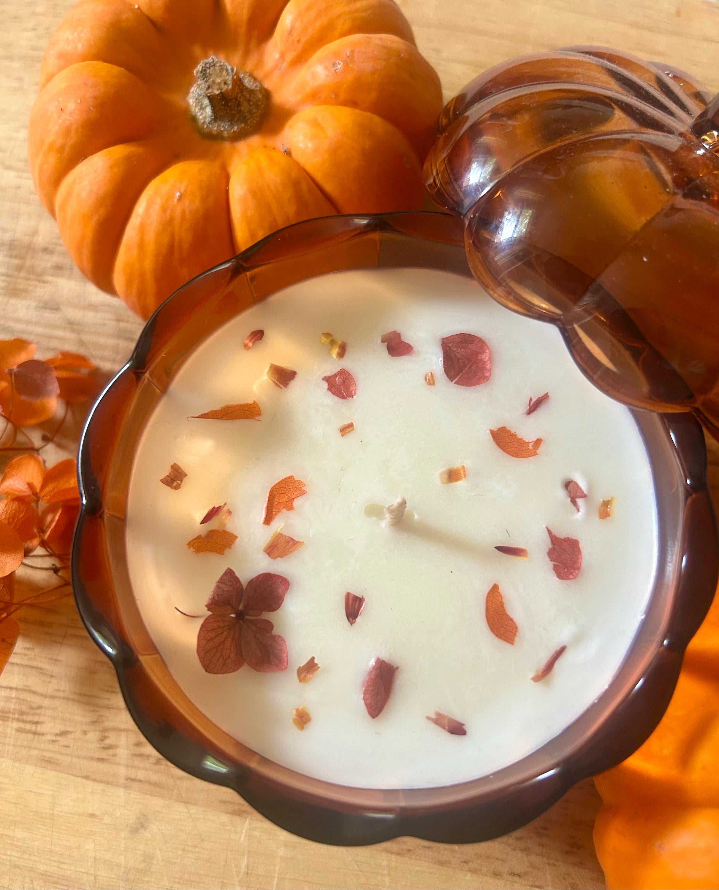 Spellbound | Pumpkin, Cinnamon & Vanilla